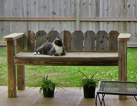 Amanda's Happy Hearth: Repurposed Furniture