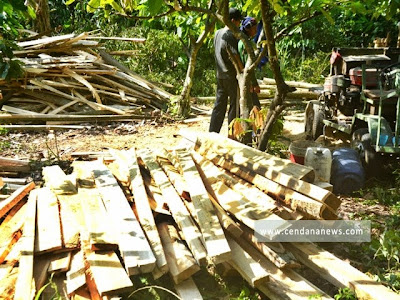 Gergaji Kayu Keliling Antara Foto
