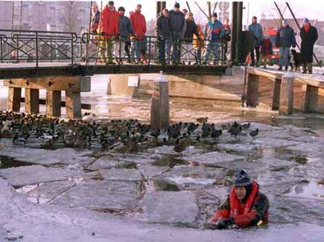 Elfstedentocht 1996