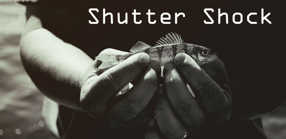 Shutter Shock