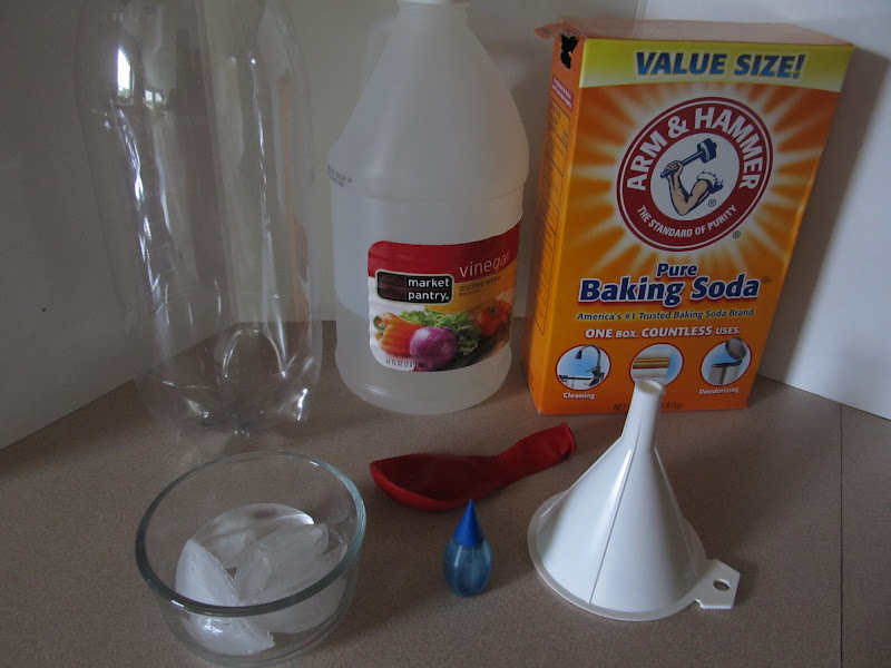 Horsing Around At Home Chemical reactions with Apologia General Science