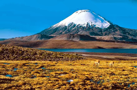 LA POESÍA VISUAL DE LA CORDILLERA DE LOS ANDES