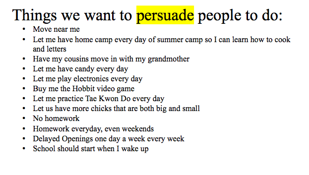 What is persuasive essay