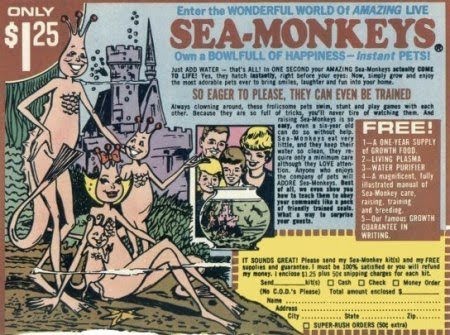 Sea+Monkey+AD.jpg