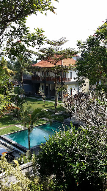 Agradables vistas desde nuestro hotel en Ubud (Bali)