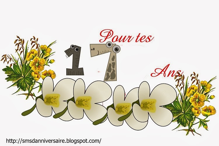Anniversaire 17 Ans Fille