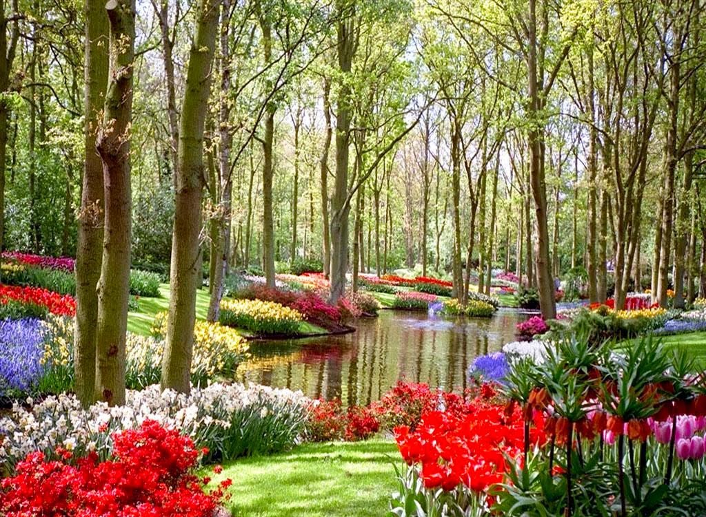 Escape Into The Nature and Flowers Garden quotes Escape Into The Nature and Flowers Garden quotes