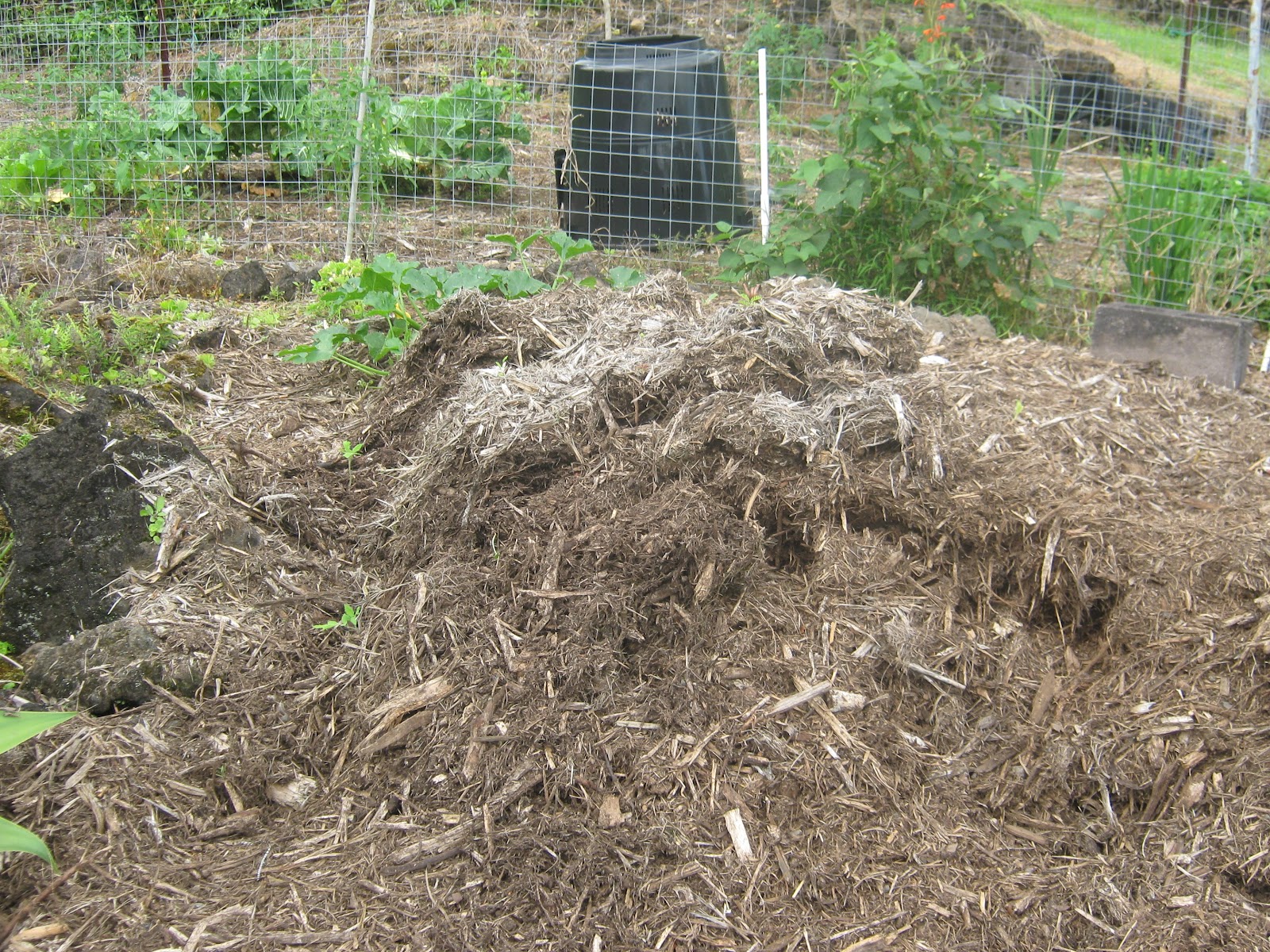 Garden Guy Hawaii What’s Crawling in the Compost Pile?