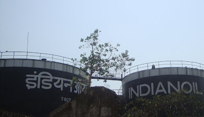 Flamingo Festival,16 April 2011,Sewri Jetty
