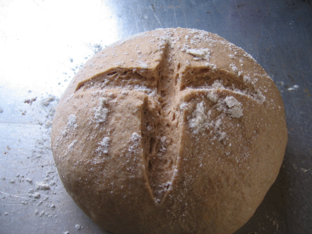 BreadMan Talking Basic Healthy Beautiful Bread Artisan Whole Wheat Boule