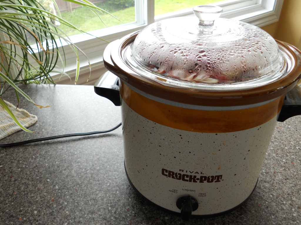Snacking Squirrel Crock Pot Bison Potato Beet Stew in Miso Broth