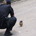 Малка кукумявка спира... полицаи (видео)