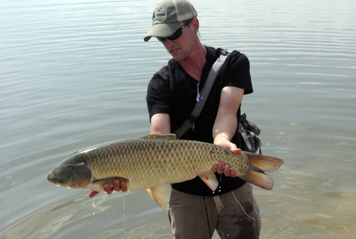 Currents Grass Carp on Hoppers