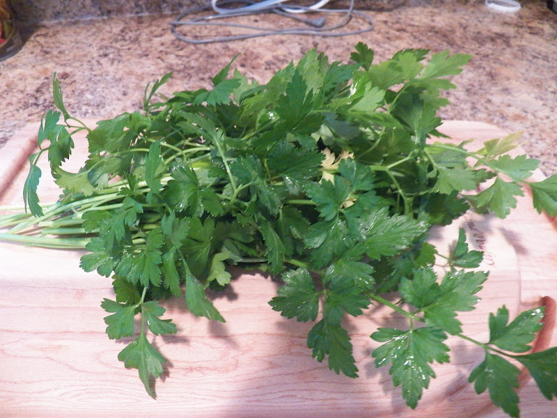 Danish Chicken with Parsley Stuffing (Grydestegt Kylling) Sid's Sea