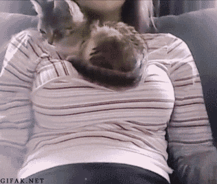 222.gif