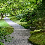 Winding path