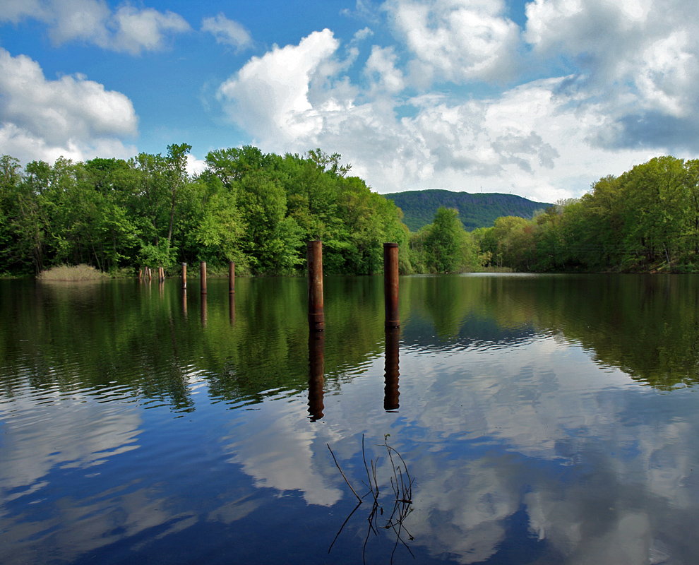 Bruce Barone May 2011