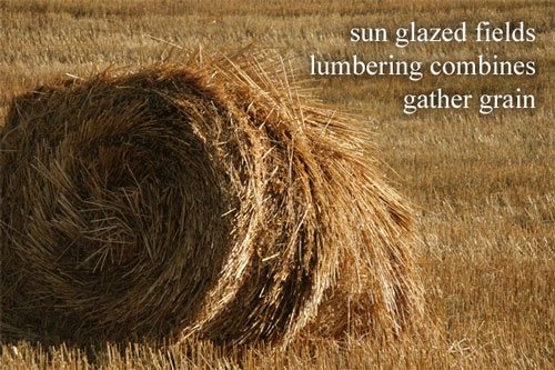 The following poem is an haiku poems examples about nature. The following poem is an