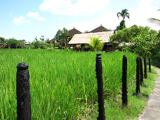 Laka Leke Bali