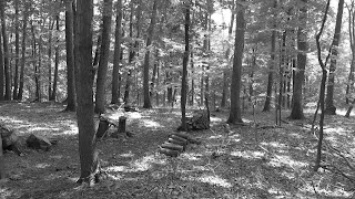 Cacapon Mountain backyard, September 01, 2015, 11:47:02 AM