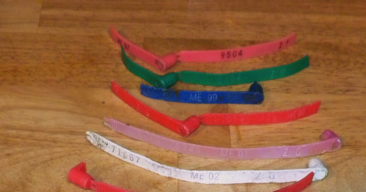 The Flotsam Diaries Transatlantic Connections Part I Lobster Trap Tags