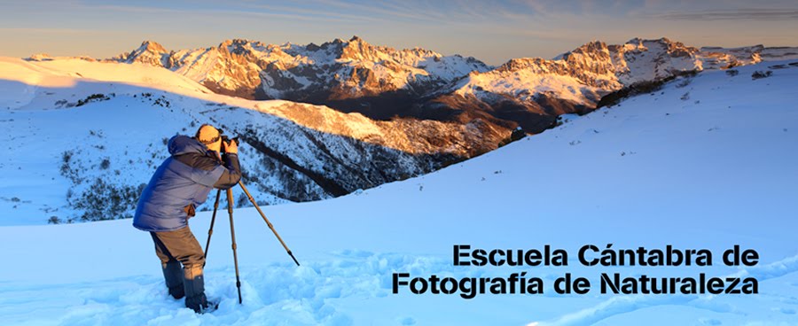 Escuela Cántabra de Fotografía de Naturaleza