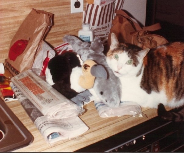 Inspiration Nation The Later Years You Can Get Here From