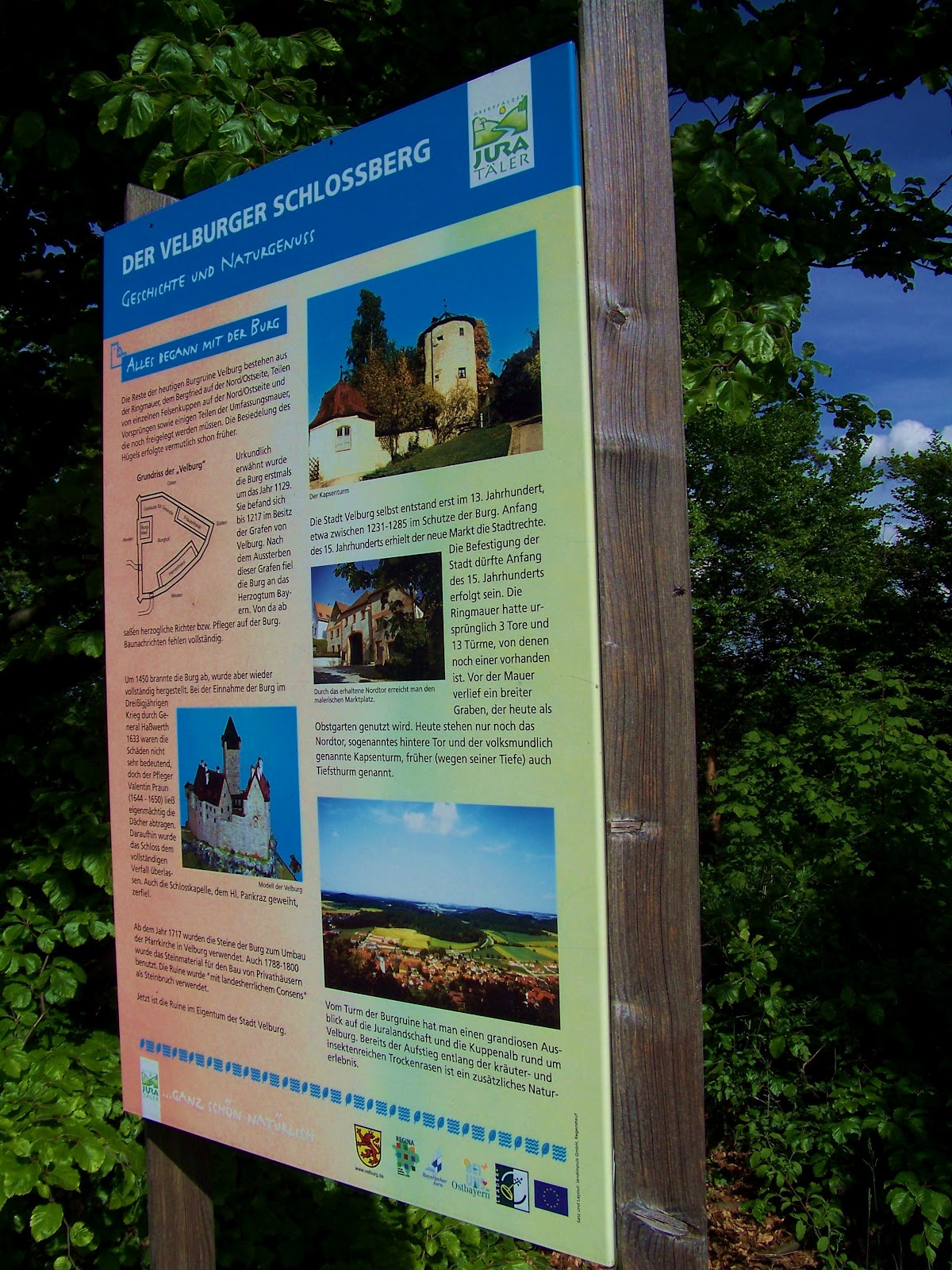 Susan Womble S Adventures Week 38 Part 1 Germany Canola Fields