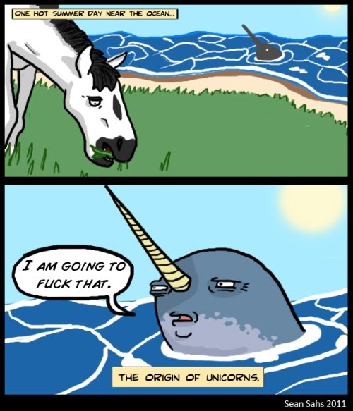 Cartoon Narwhal Song