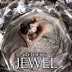 Recommendation: 'The Jewel' by Amy Ewing
