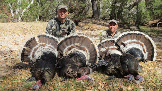 Gould's+Turkey+Hunt+with+Colburn+and+Scott+Outfitters+9.JPG