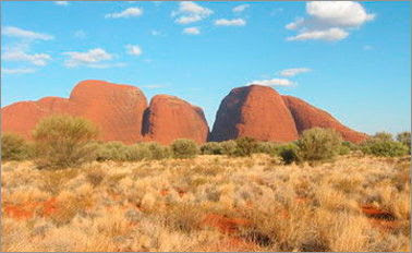 Outback2.jpg