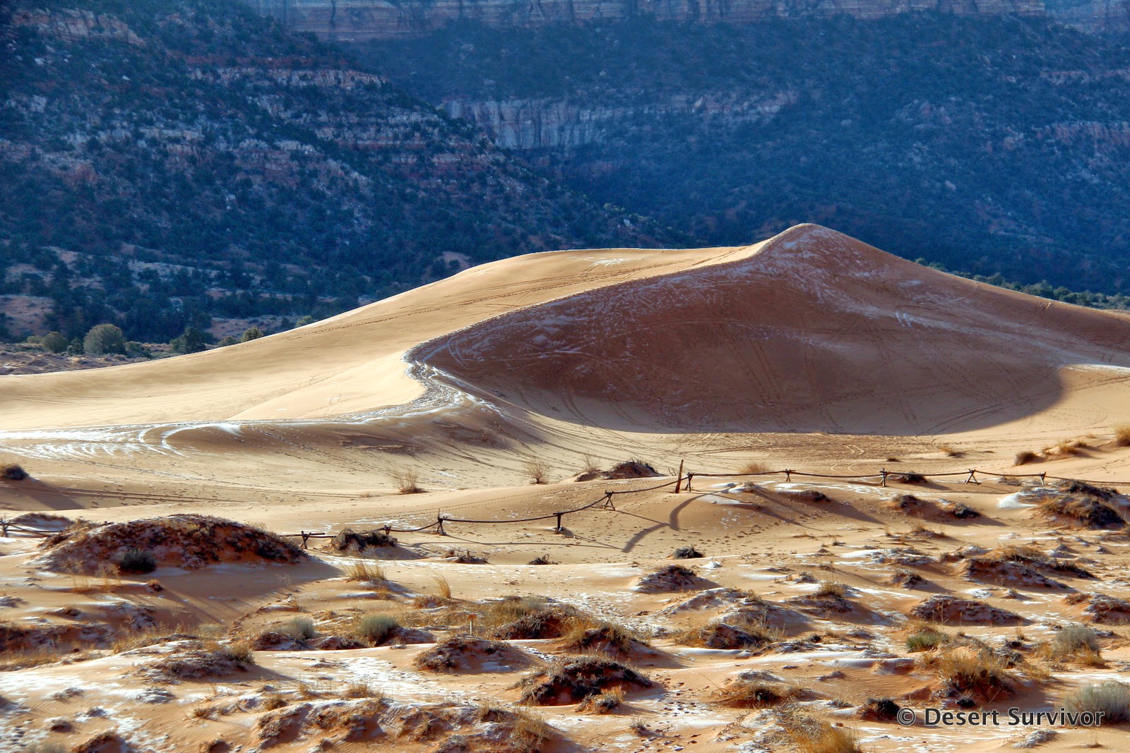 Is Coral Pink Sand Dunes Worth Visiting? (Things to Do) - We're in the  Rockies