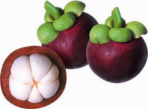 cach-tri-tan-nhang-hieu-qua-voi-mang-cut cach-tri-tan-nhang-hieu-qua-voi-mang-cut