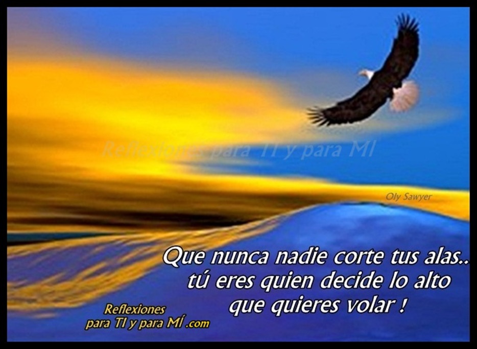 Reflexiones para TI y para MÍ: * Que nunca nadie corte tus alas... tú