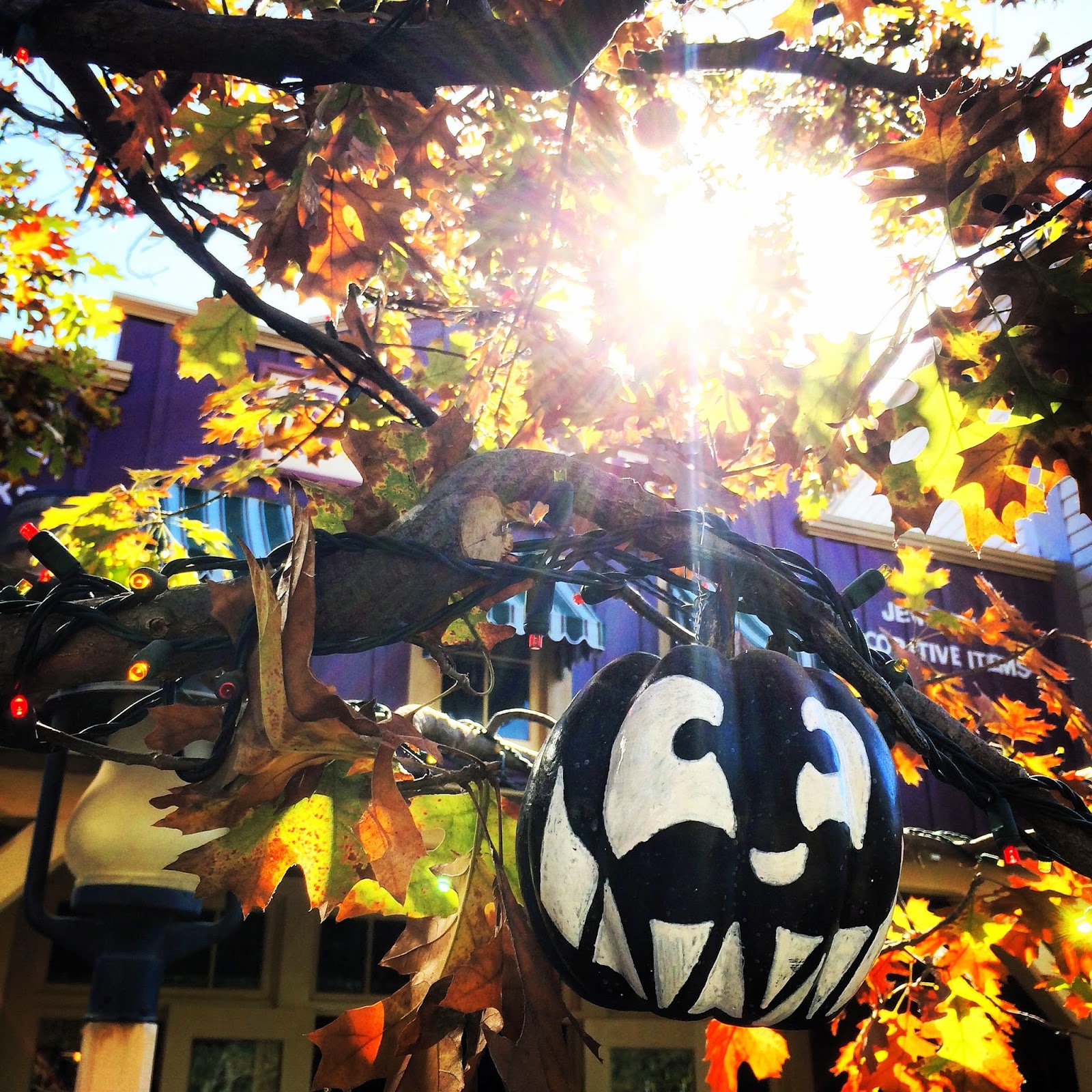 Disney Sisters The �Halloween Tree� shines at Disneyland during
