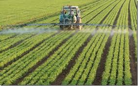 300.000 agricultores en Estados Unidos demandan a Monsanto. Images+(4)