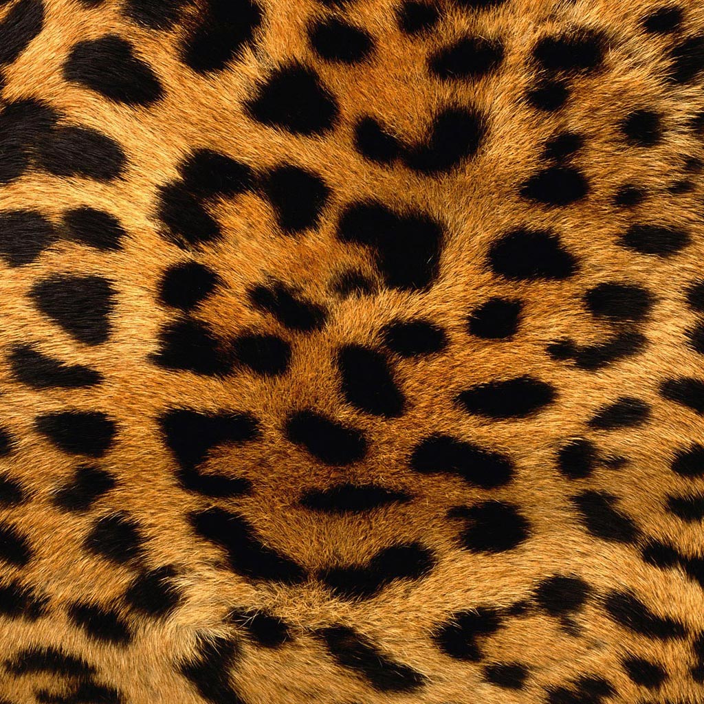 Leopard Skin Pattern Background iPad Wallpaper, 1024x1024, Photo | nba playoff bracket ...