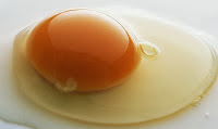 Telur Telur