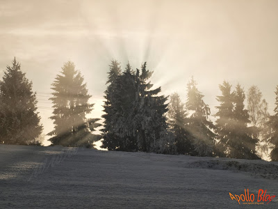 Efectele de luminii dupa un copac