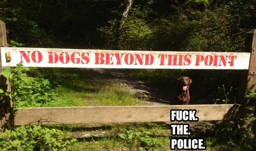[Image: no+dogs+beyond+this+point+fuck+the+police.jpg]