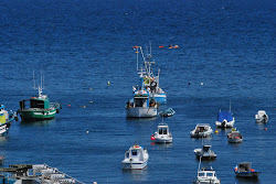 Barcos en el puerto de Malpica