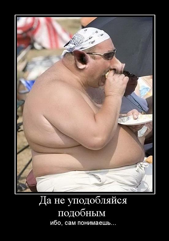 это мое фото это мое фото