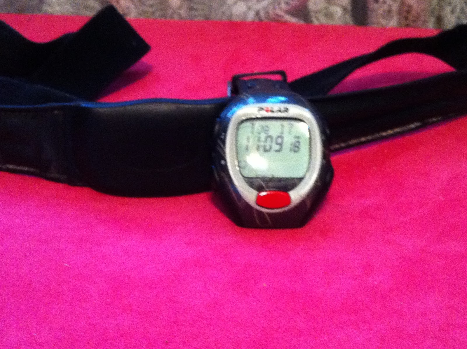 garmin forerunner 60