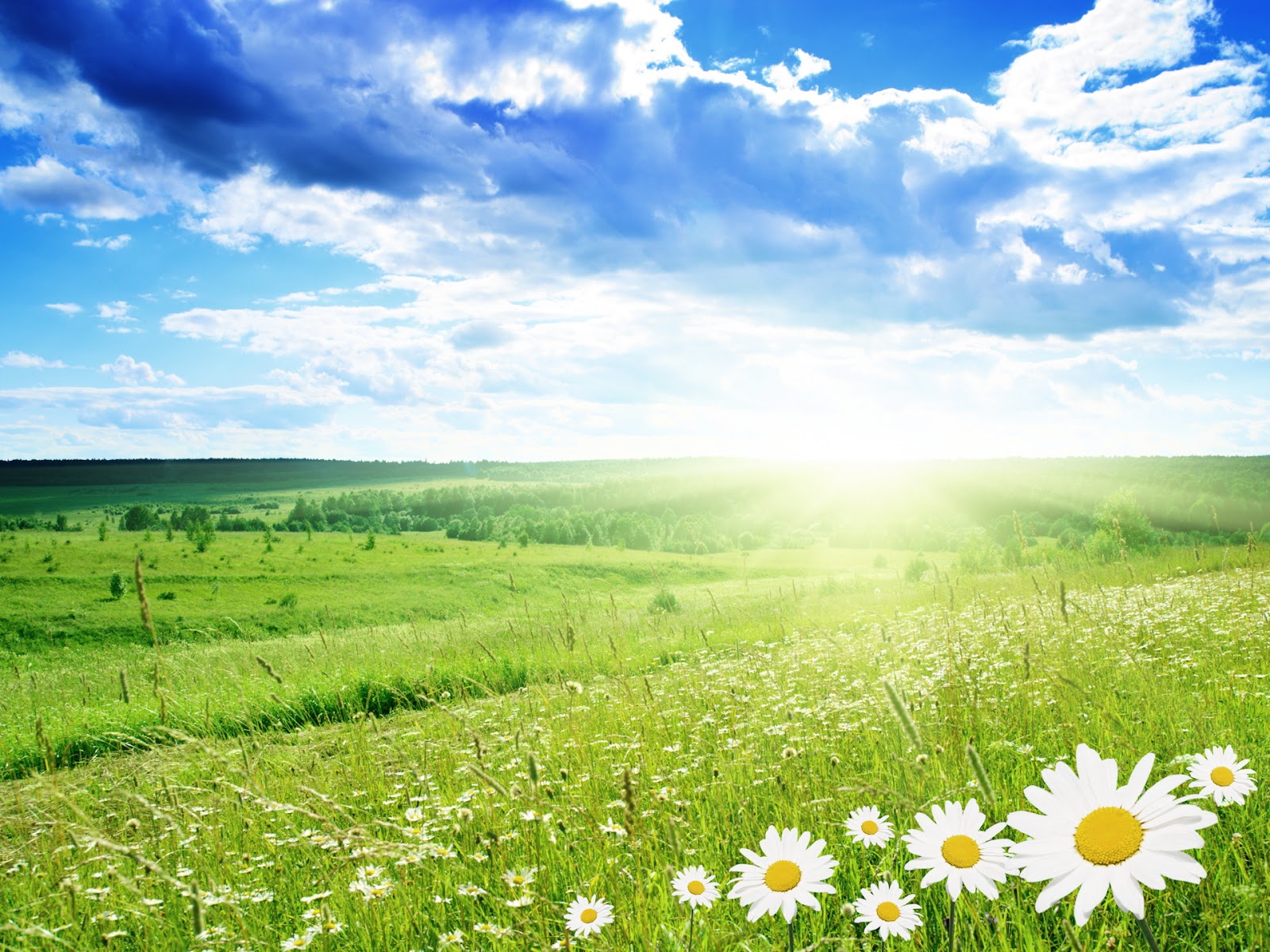 pretty nature backgrounds real pretty nature backgrounds real
