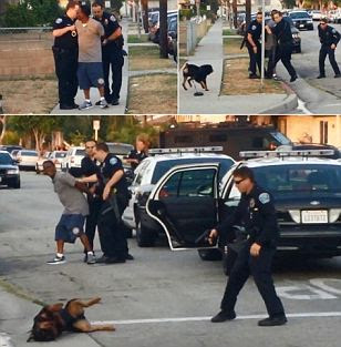 EXTREMELY GRAPHIC VIDEO: Police...
