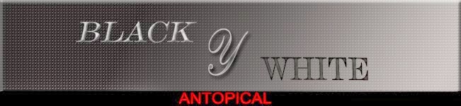 black y white antopical