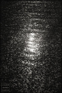 fotografia artistica en blanco y negro