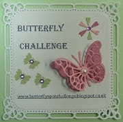 Butterfly Challenge