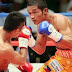 Michael Farenas fights former Manny Pacquaio victim Hector Velasquez for the WBC Asian Boxing Super-featherweight title